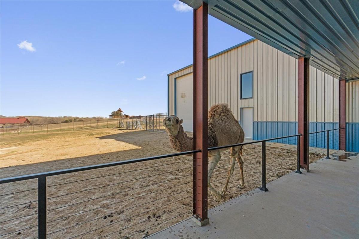 Blue Hills Ranch Hotel McGregor Exterior photo